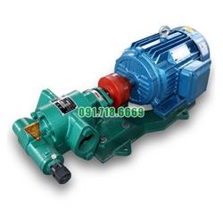 Bơm bánh răng KCB33.3 kích thước 21mm