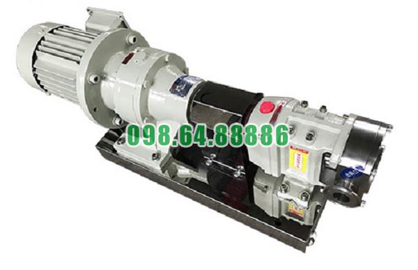 Máy bơm cánh khế 3RP-5 công suất 1.5kW lưu lượng 3 m3/h tốc độ quay 1000 vòng/phút